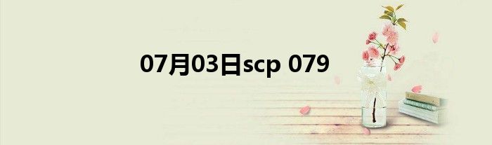 07月03日scp 079