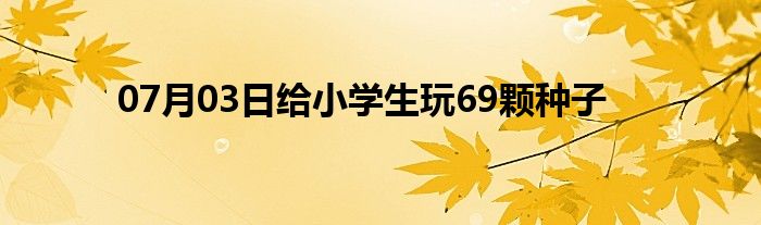 07月03日给小学生玩69颗种子