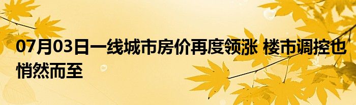 07月03日一线城市房价再度领涨 楼市调控也悄然而至