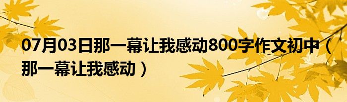 07月03日那一幕让我感动800字作文初中（那一幕让我感动）