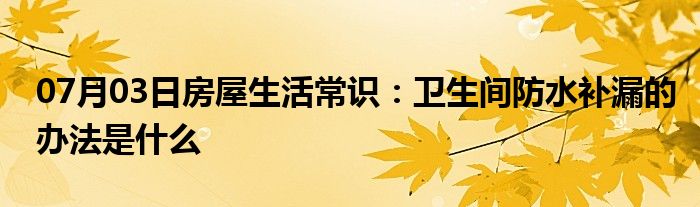 07月03日房屋生活常识：卫生间防水补漏的办法是什么