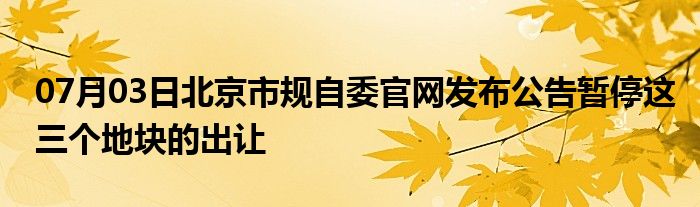 07月03日北京市规自委官网发布公告暂停这三个地块的出让