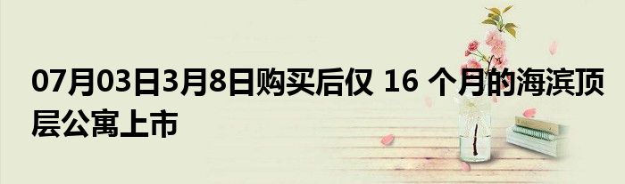 07月03日3月8日购买后仅 16 个月的海滨顶层公寓上市