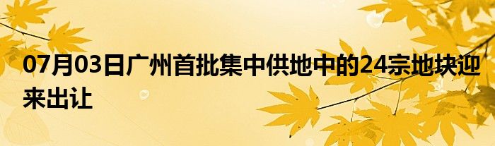 07月03日广州首批集中供地中的24宗地块迎来出让