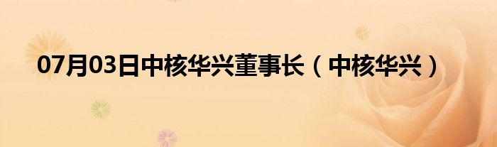 07月03日中核华兴董事长（中核华兴）