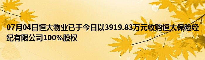 07月04日恒大物业已于今日以3919.83万元收购恒大保险经纪有限公司100%股权