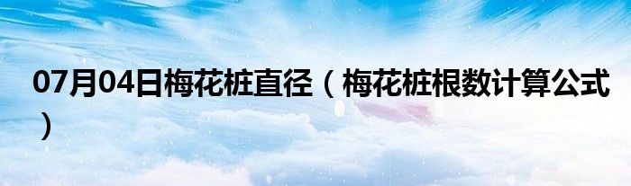 07月04日梅花桩直径（梅花桩根数计算公式）