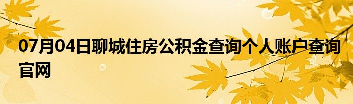 07月04日聊城住房公积金查询个人账户查询官网