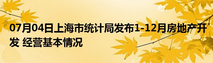 07月04日上海市统计局发布1-12月房地产开发 经营基本情况