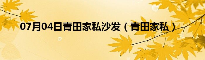 07月04日青田家私沙发（青田家私）