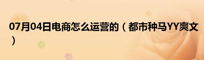 07月04日电商怎么运营的（都市种马YY爽文）