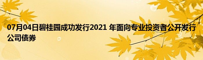 07月04日碧桂园成功发行2021 年面向专业投资者公开发行公司债券