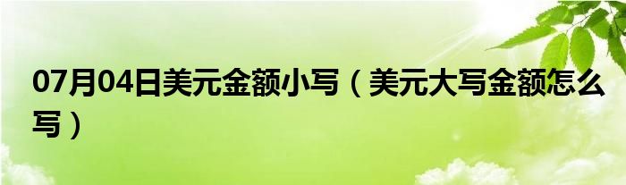 07月04日美元金额小写（美元大写金额怎么写）