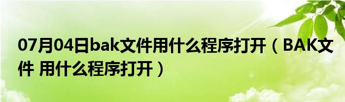 07月04日bak文件用什么程序打开（BAK文件 用什么程序打开）