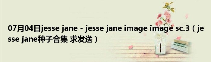 07月04日jesse jane - jesse jane image image sc.3（jesse jane种子合集 求发送）