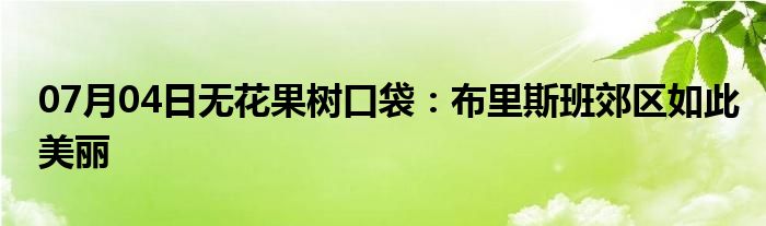 07月04日无花果树口袋：布里斯班郊区如此美丽