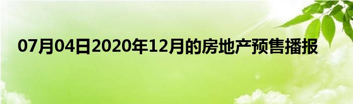 07月04日2020年12月的房地产预售播报