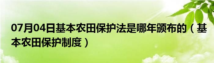 07月04日基本农田保护法是哪年颁布的（基本农田保护制度）