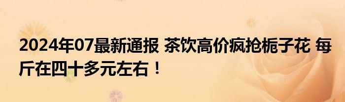 2024年07最新通报 茶饮高价疯抢栀子花 每斤在四十多元左右！