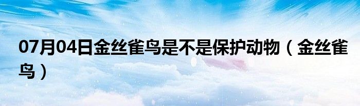 07月04日金丝雀鸟是不是保护动物（金丝雀鸟）