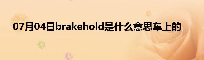 07月04日brakehold是什么意思车上的