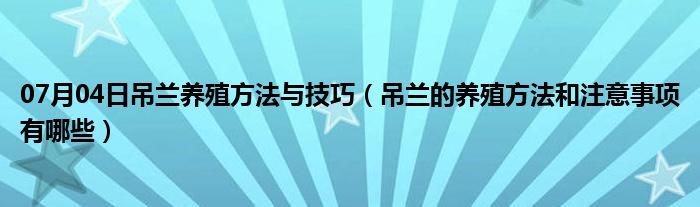 07月04日吊兰养殖方法与技巧（吊兰的养殖方法和注意事项有哪些）