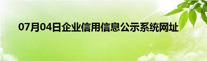 07月04日企业信用信息公示系统网址