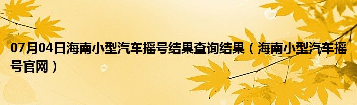 07月04日海南小型汽车摇号结果查询结果（海南小型汽车摇号官网）