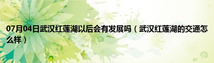 07月04日武汉红莲湖以后会有发展吗（武汉红莲湖的交通怎么样）