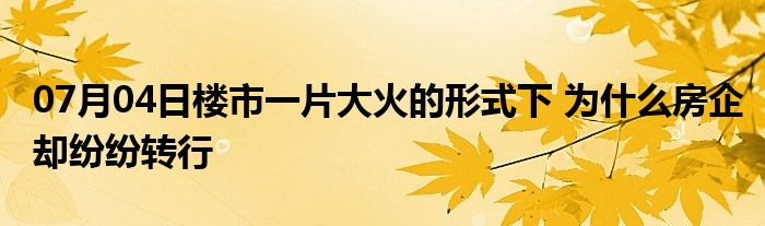 07月04日楼市一片大火的形式下 为什么房企却纷纷转行