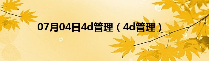 07月04日4d管理（4d管理）