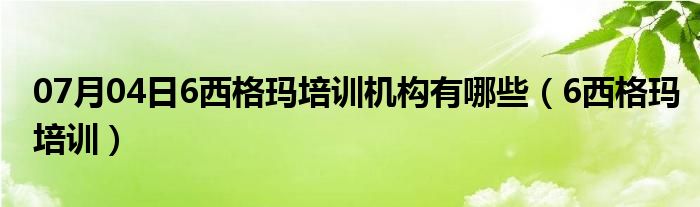 07月04日6西格玛培训机构有哪些（6西格玛培训）