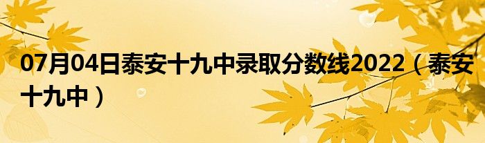 07月04日泰安十九中录取分数线2022（泰安十九中）