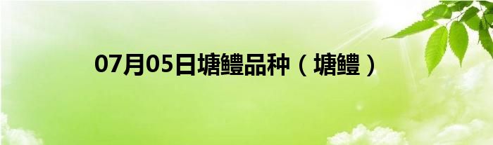 07月05日塘鳢品种（塘鳢）