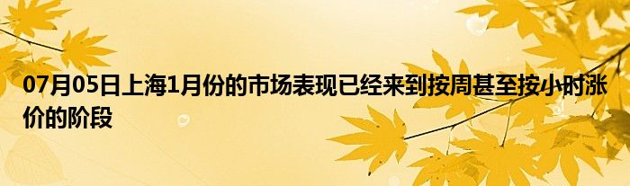 07月05日上海1月份的市场表现已经来到按周甚至按小时涨价的阶段