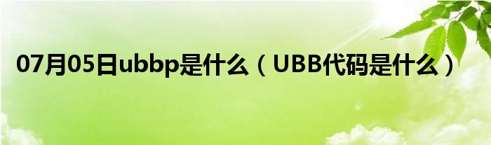 07月05日ubbp是什么（UBB代码是什么）