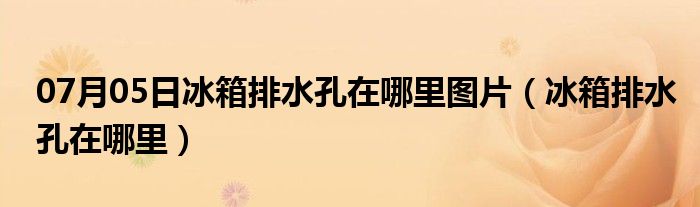 07月05日冰箱排水孔在哪里图片（冰箱排水孔在哪里）