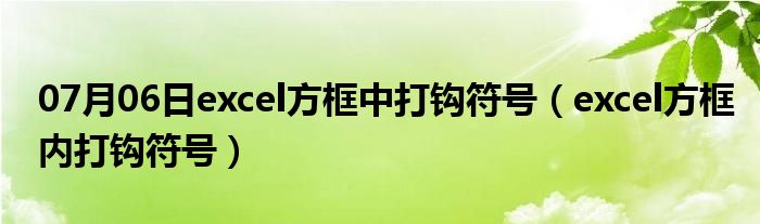 07月06日excel方框中打钩符号（excel方框内打钩符号）