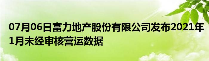 07月06日富力地产股份有限公司发布2021年1月未经审核营运数据