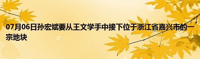 07月06日孙宏斌要从王文学手中接下位于浙江省嘉兴市的一宗地块