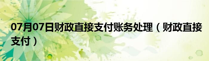 07月07日财政直接支付账务处理（财政直接支付）