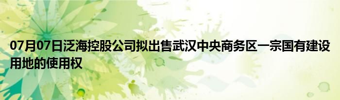 07月07日泛海控股公司拟出售武汉中央商务区一宗国有建设用地的使用权