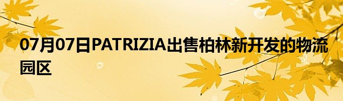 07月07日PATRIZIA出售柏林新开发的物流园区