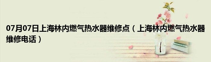 07月07日上海林内燃气热水器维修点（上海林内燃气热水器维修电话）