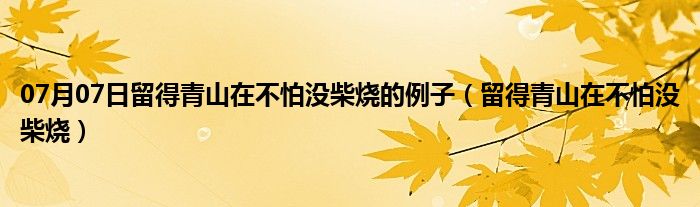 07月07日留得青山在不怕没柴烧的例子（留得青山在不怕没柴烧）