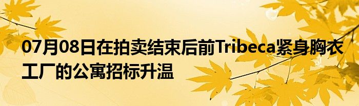 07月08日在拍卖结束后前Tribeca紧身胸衣工厂的公寓招标升温