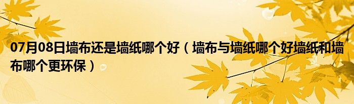 07月08日墙布还是墙纸哪个好（墙布与墙纸哪个好墙纸和墙布哪个更环保）