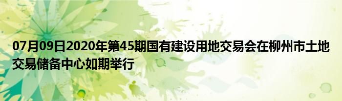 07月09日2020年第45期国有建设用地交易会在柳州市土地交易储备中心如期举行