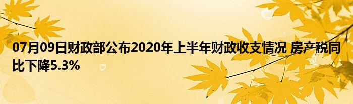 07月09日财政部公布2020年上半年财政收支情况 房产税同比下降5.3%