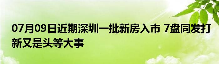 07月09日近期深圳一批新房入市 7盘同发打新又是头等大事